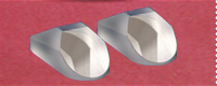 Roof Prisms